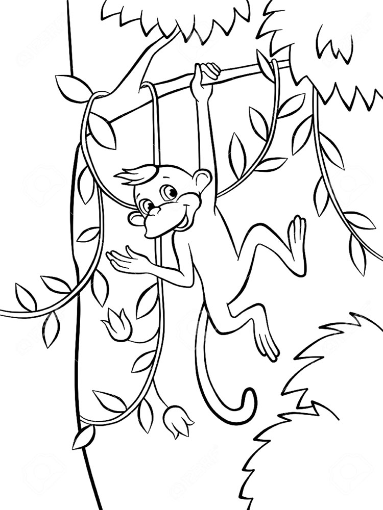 750x1000 Monkey Coloring Pages. Download And Print Monkey Coloring Pages