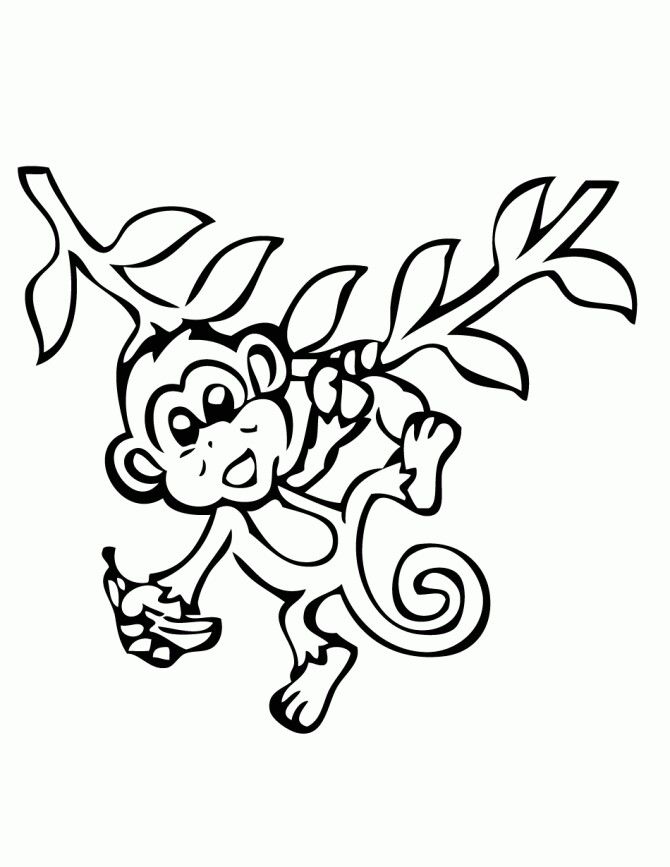 670x867 Monkey Drawing Monkey Nursery Theme Monkey Drawing