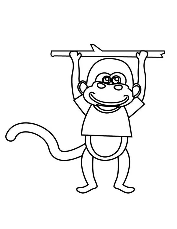 600x776 Monkey Swinging On A Tree Branch Coloring Page