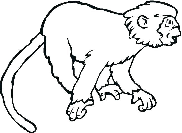 736x539 5 Little Monkeys Swinging In The Tree Coloring Page Pages
