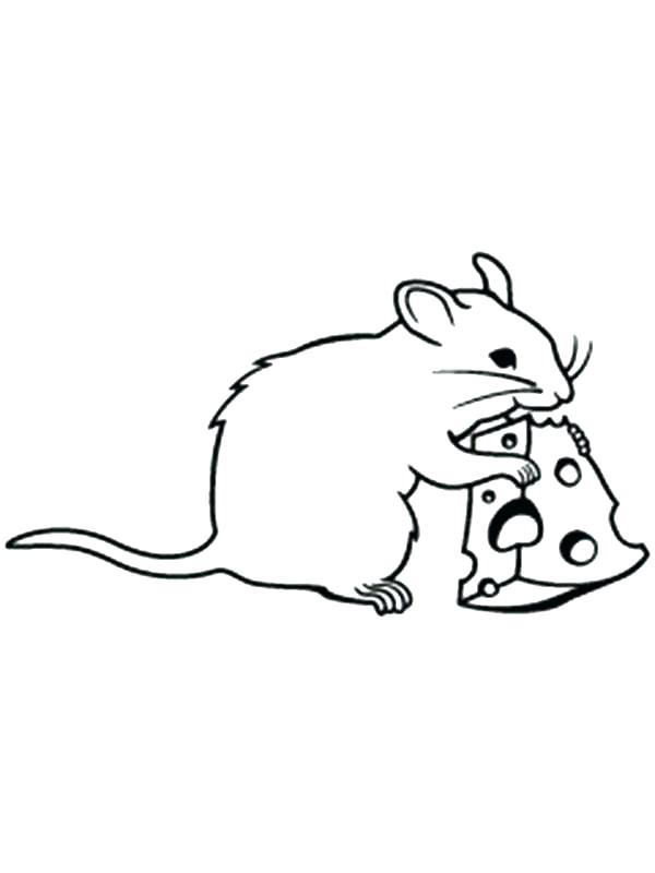 600x800 Cheese Coloring Page With A Piece Of Cheese Coloring Page