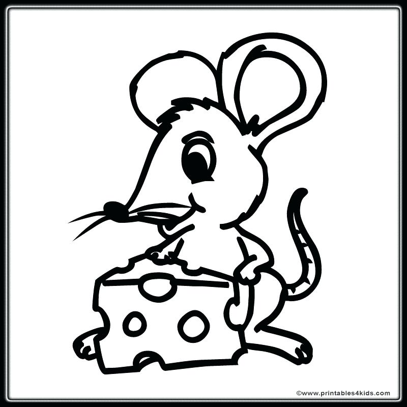 800x800 Cheese Coloring Page Coloring Page Cheese Cheese Coloring Pages