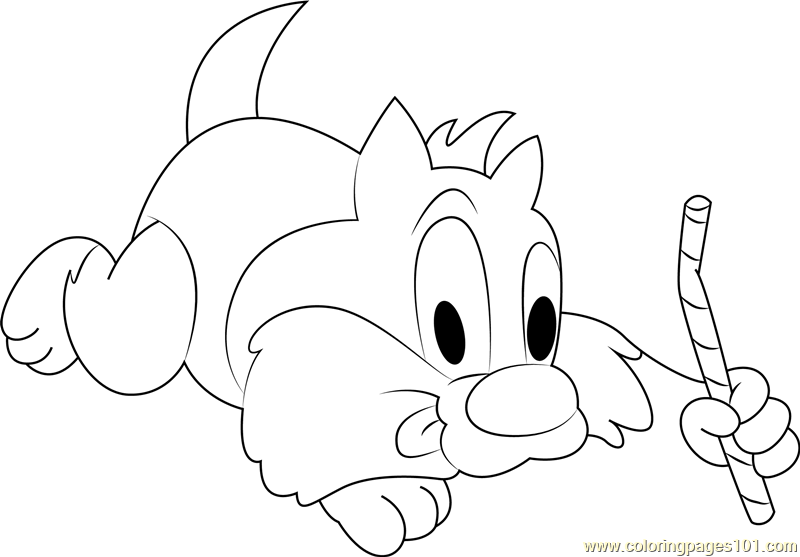 800x557 Baby Sylvester The Cat Coloring Page