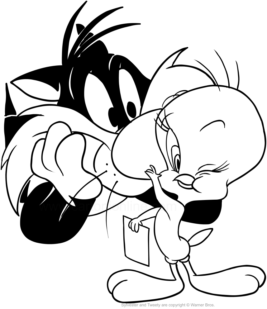 857x992 Drawing Tweety Who Wants To Show A Photograph In Sylvester