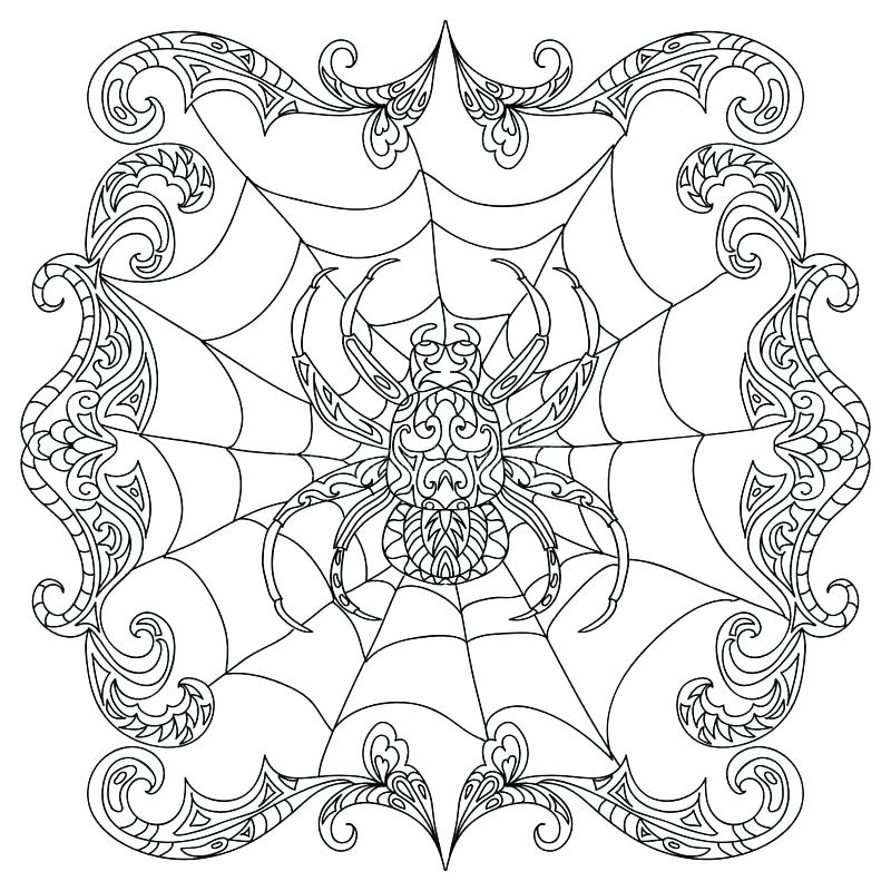 800x800 Exciting Symmetrical Coloring Pages Simple Coloring Pages For Kids