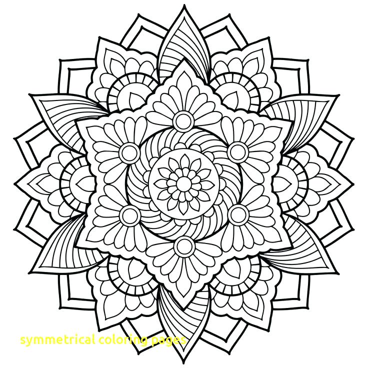 736x736 Symmetrical Coloring Pages Symmetrical Coloring Pages With Best