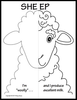 270x350 Farm Animals Symmetry Activity Coloring Pages By Mary Straw Tpt