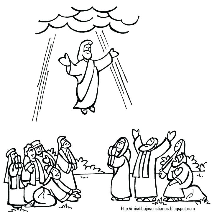 736x733 Jesus In The Temple Craft