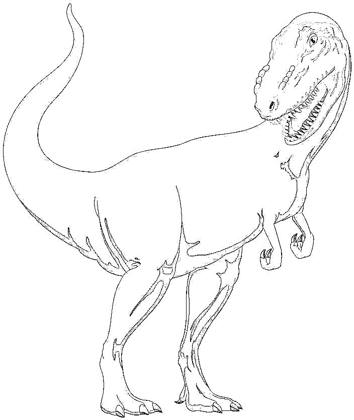 704x833 T Coloring Page