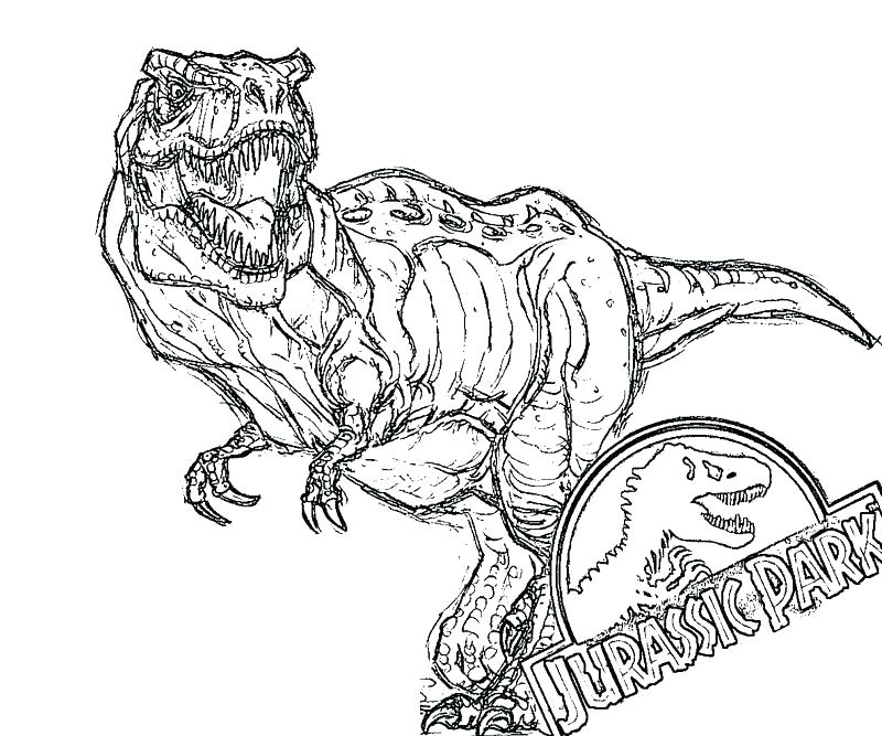800x667 Trex Coloring Pages T Coloring Pages Packed With Park T Coloring