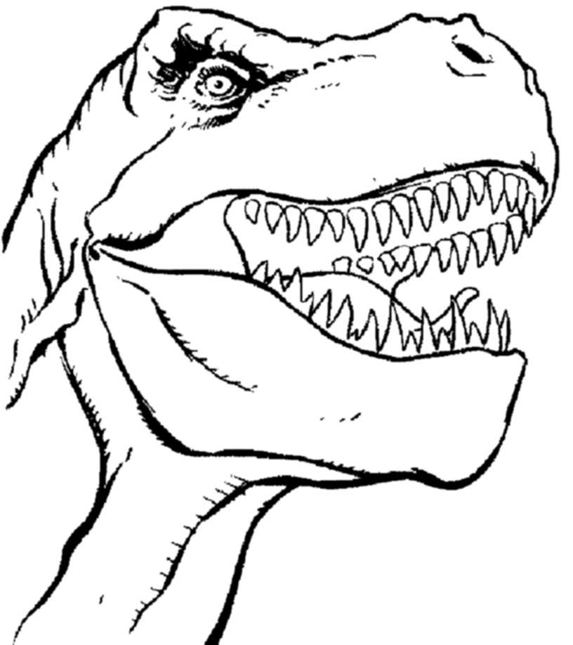 816x918 Ingenious Idea T Rex Coloring Pages Print Download Dinosaur