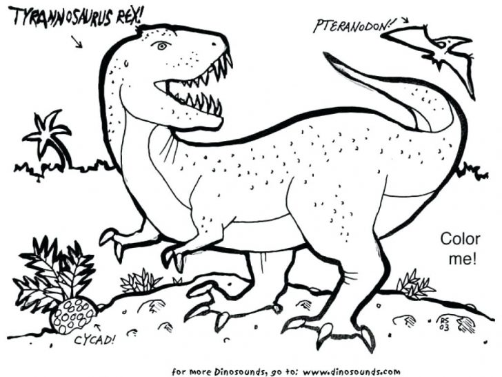 728x546 T Rex Coloring Page Indominus Dinosaur Pages Awesome 7 Amazing