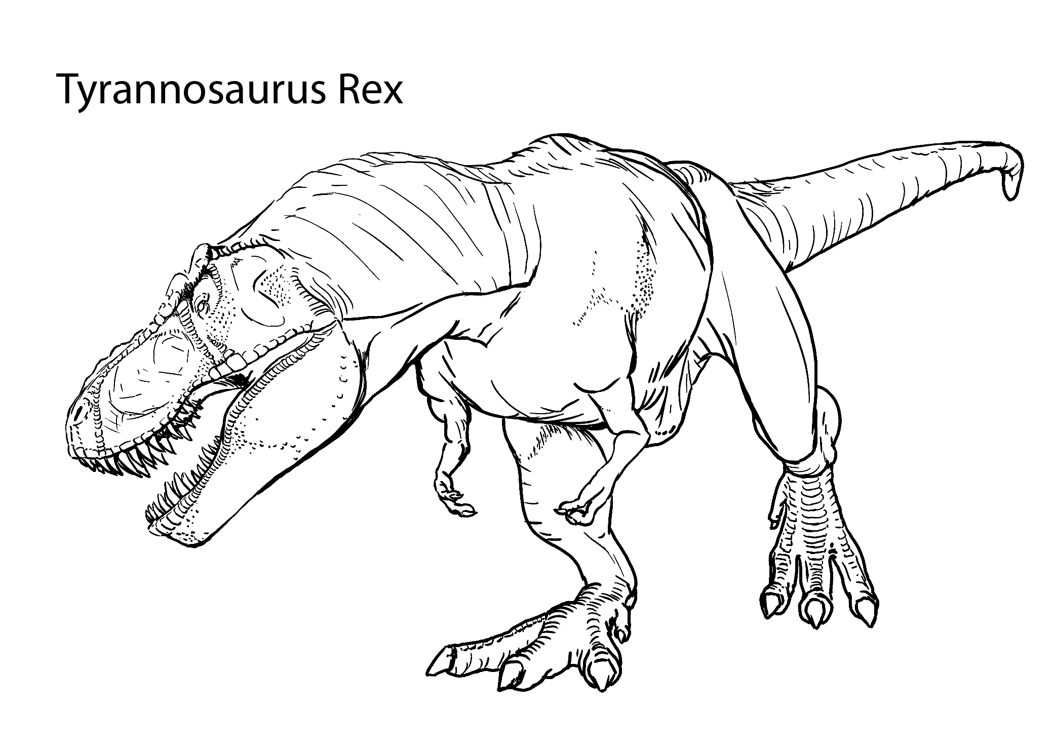 2079x1483 T Rex Coloring Pages Lovely Dinosaur T Rex Coloring Pages Coloring