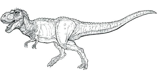 640x293 Coloring T Rex Coloring Page Lovely Pages For Color Dinosaurs