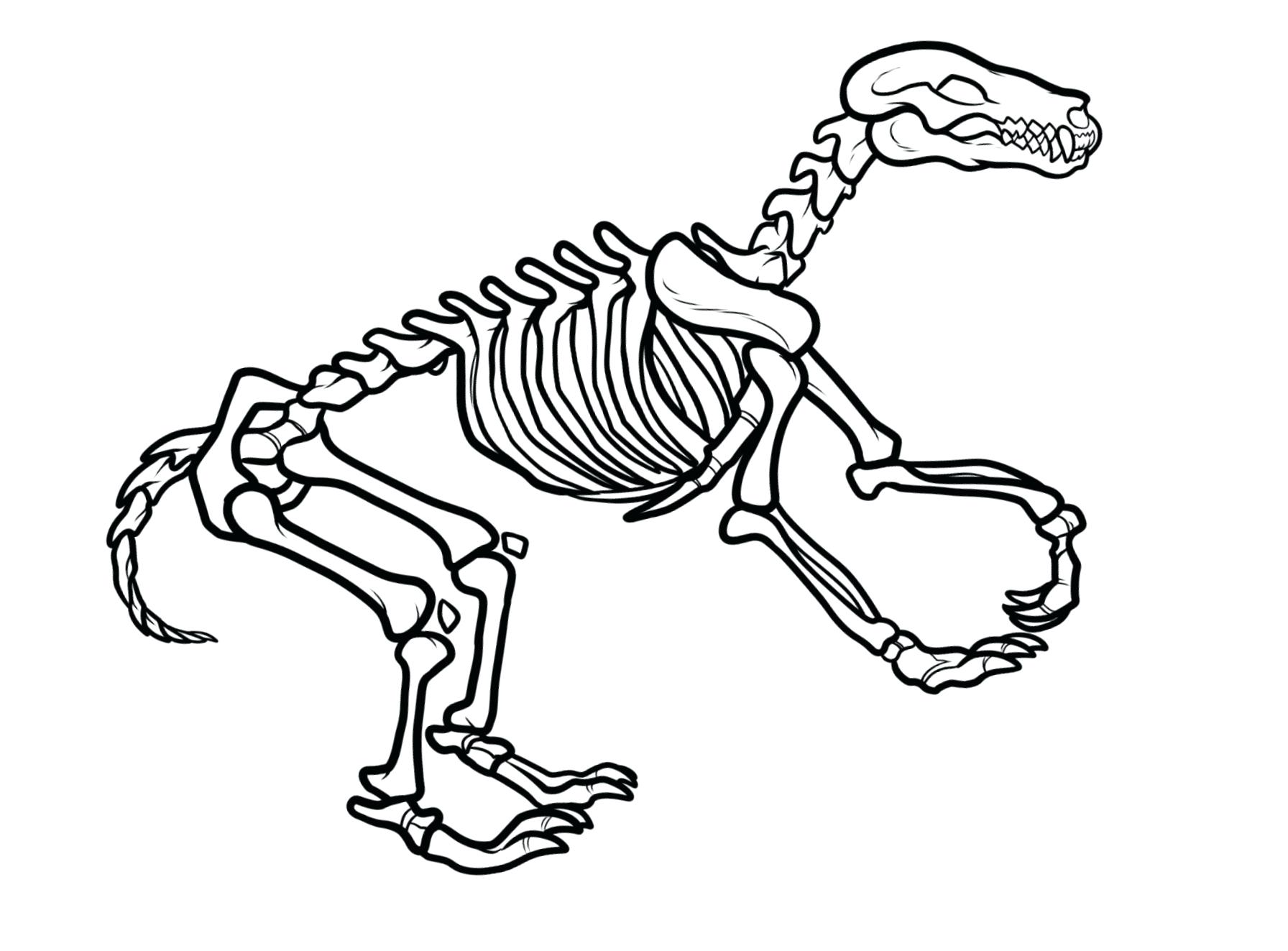1792x1323 Edge Dinosaur Skeleton Coloring Page T Rex Pag