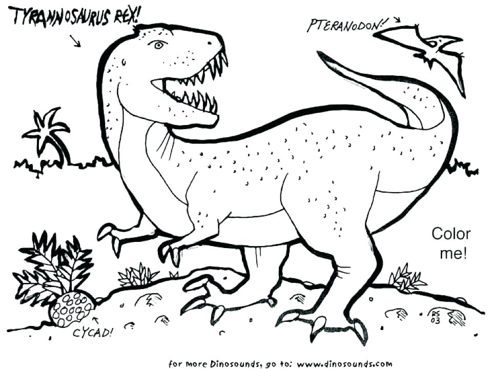 960x720 T Rex Color Page Tyrannosaurus Coloring Page T Coloring Page T