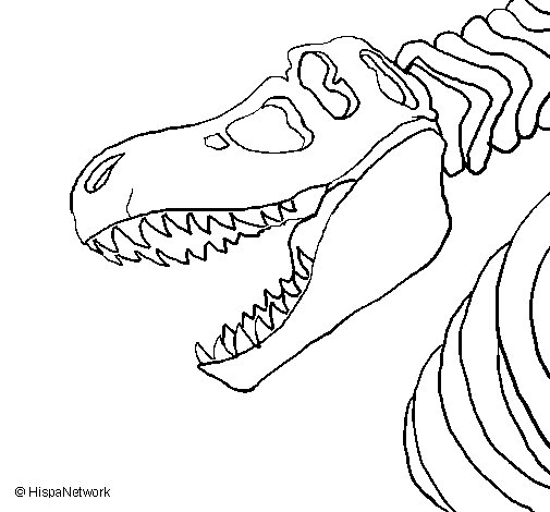 505x470 T Rex Skeleton Coloring Page