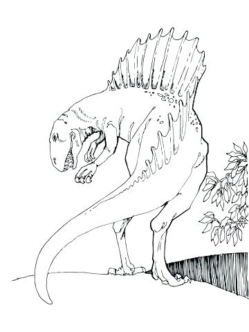 360x480 Trex Coloring Pages Coloring Pages T Coloring Page T Skeleton