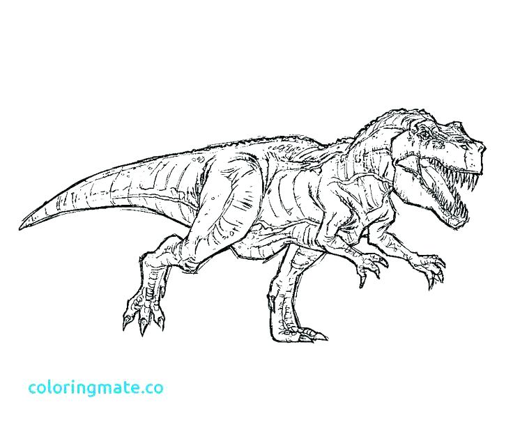 736x613 Trex Coloring Pages T Color Page Tyrannosaurus Coloring Page