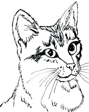 313x395 Coloring Page Of A Cat Realistic Tabby Cat Coloring Pages