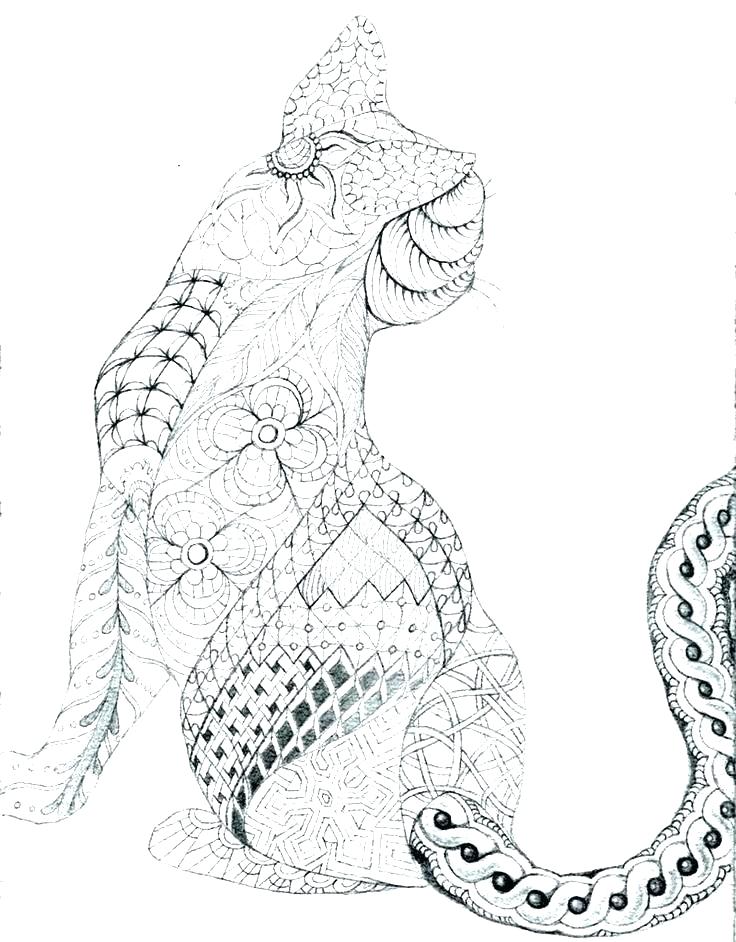 736x942 Realistic Cat Coloring Pages Big Cat Coloring Pages Realistic Cat