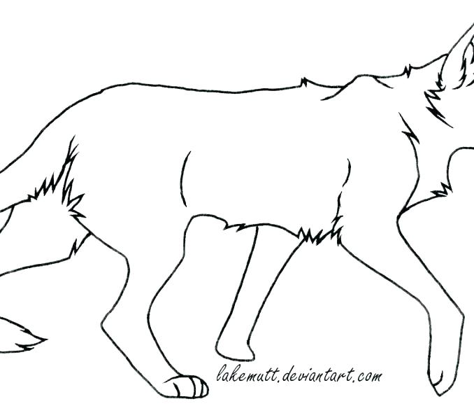 678x600 Realistic Cat Coloring Pages Plus Cat And Dog Coloring Pages