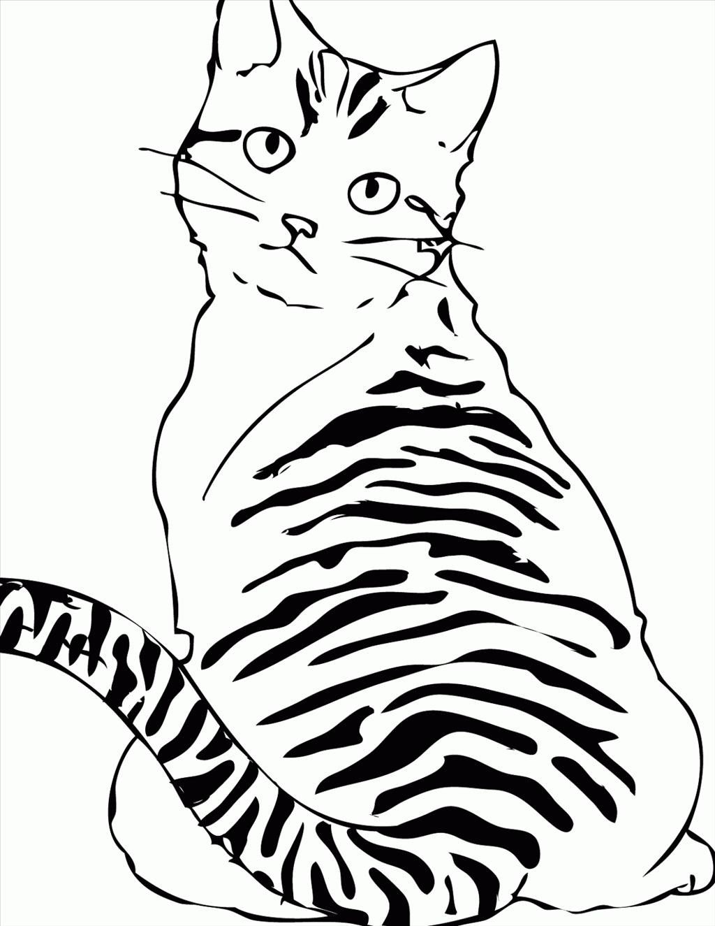 1024x1325 Striped Cat Coloring Pages