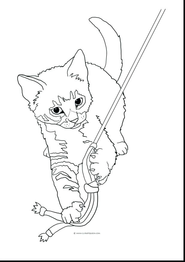 618x875 Tabby Cat Coloring Pages Beautiful Tabby Cat Coloring Pages