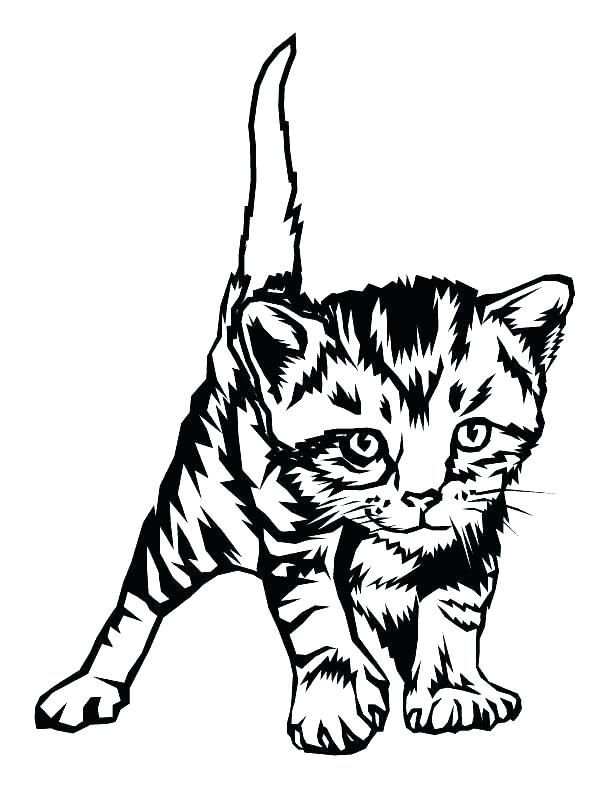 612x793 Tabby Cat Coloring Pages Kitten Realistic Cat Coloring Pages Tabby