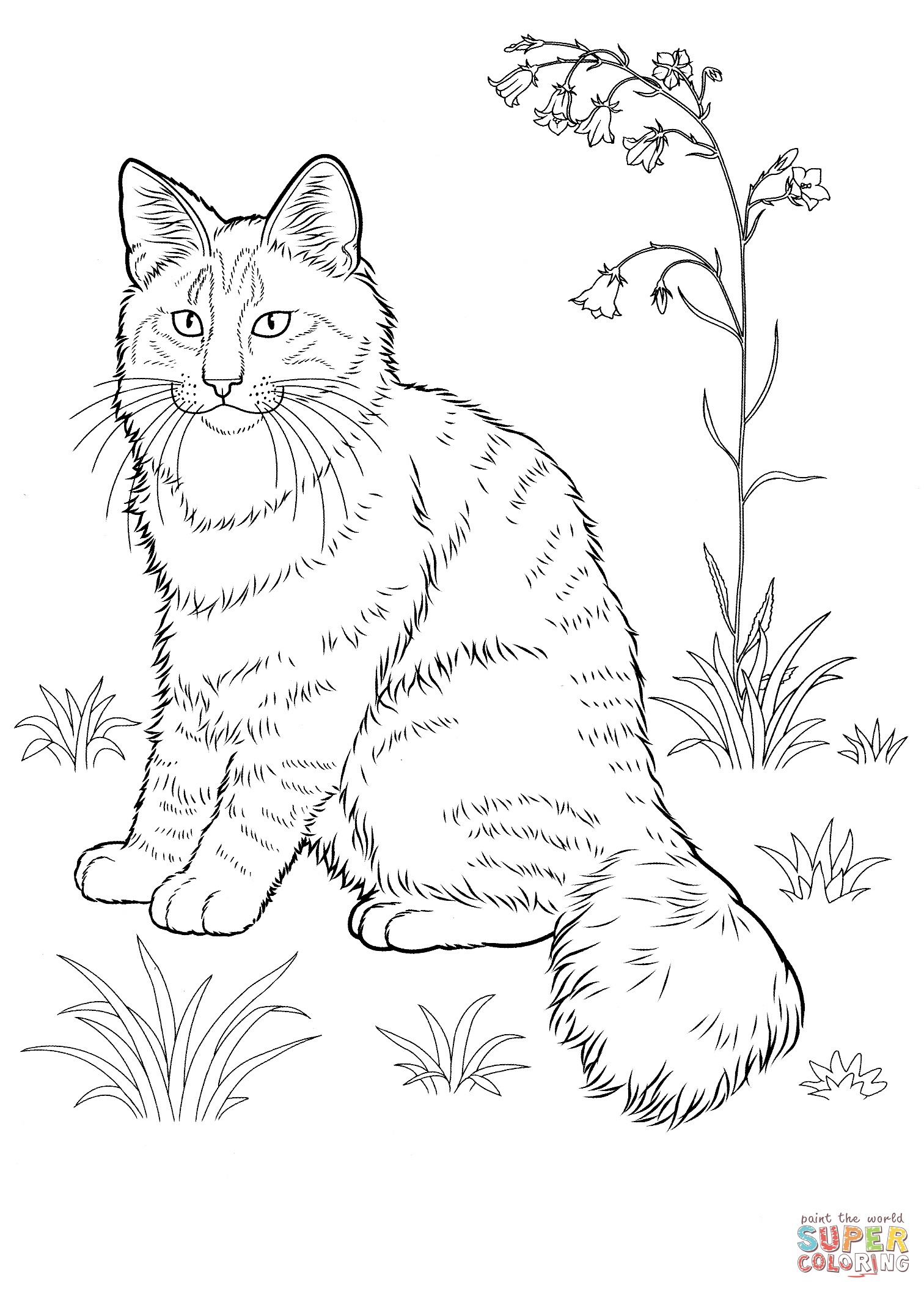 1512x2111 Cat Coloring Pages Online Free Fresh Best Of The Lovely Cartoon 99