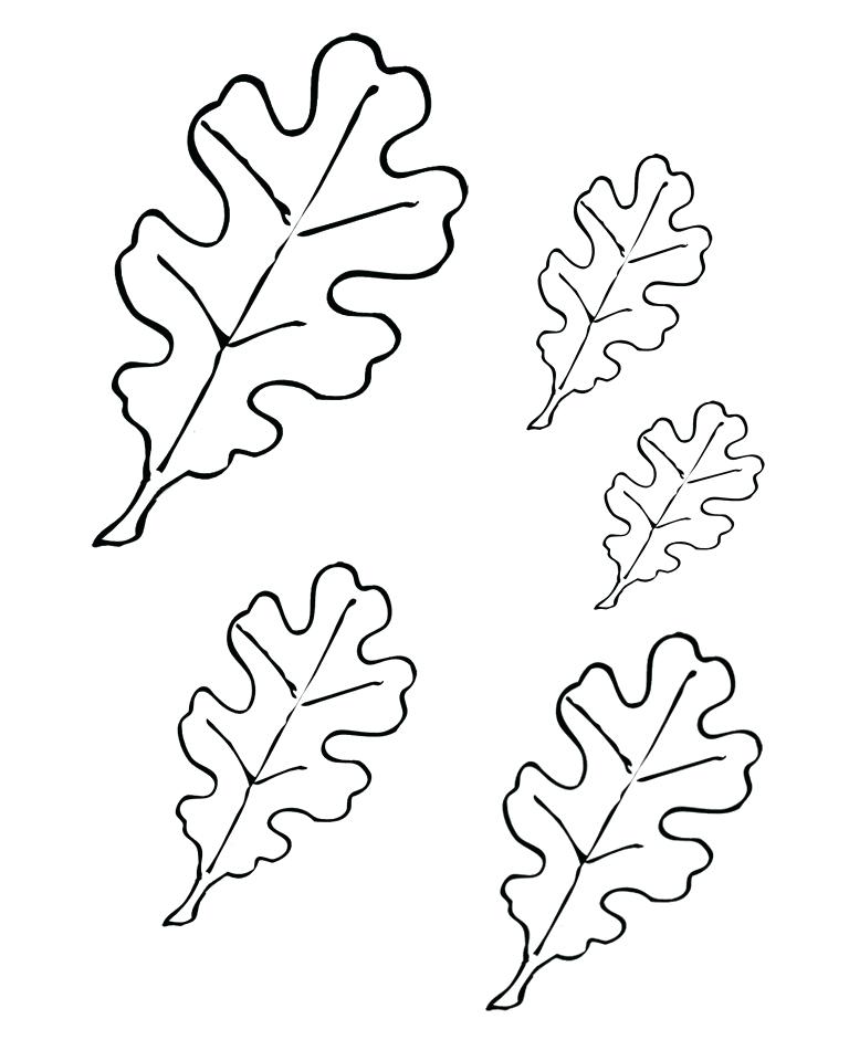 768x960 Printable Fall Coloring Pages Loose Leaf Print Out