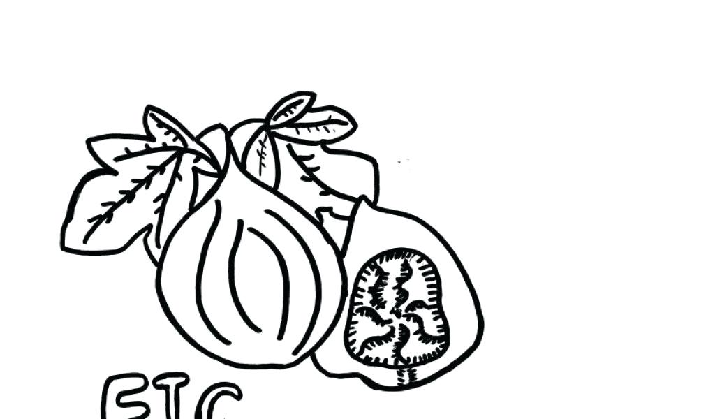 1024x600 Broncos Coloring Pages Download By Tablet Desktop Original Size