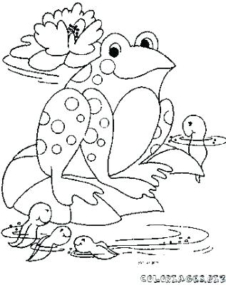 317x400 Tadpole Coloring Page Coloring Page With Tadpole Stock Vector