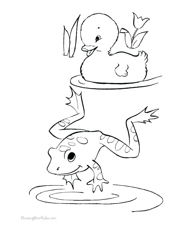 670x820 Cute Frog Colouring Pages Tadpole Coloring Page Home Life Cycle