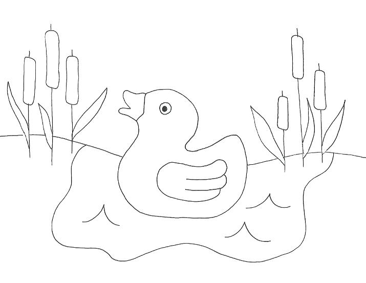 715x553 Tadpole Coloring Page The Duck Tadpole Life Cycle Coloring Page