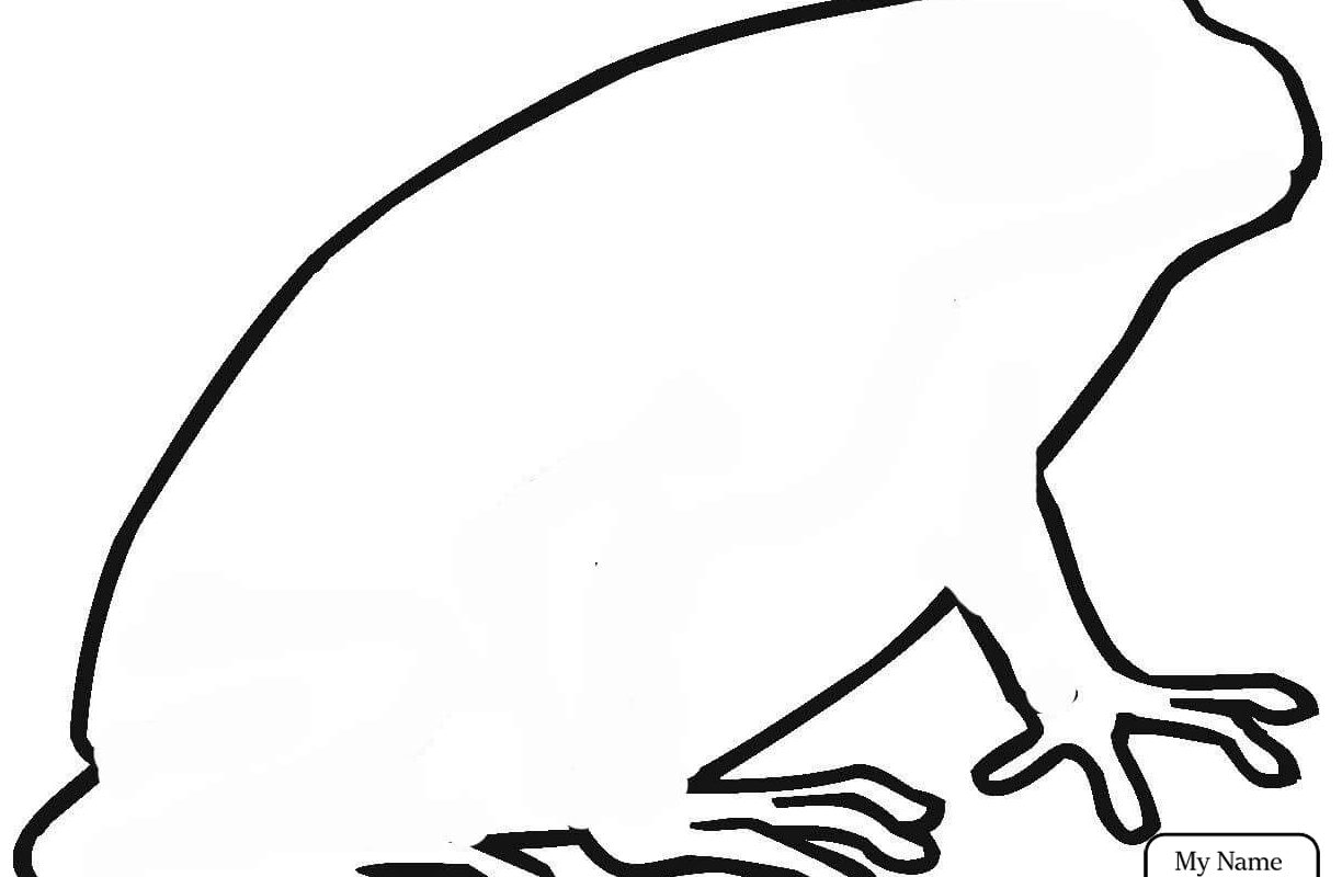 1224x800 Frog Life Cycle Coloring Page Tadpole Free Printable Animals
