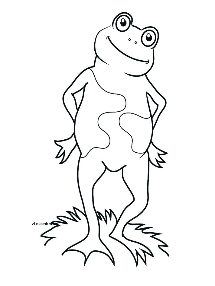 711x948 Mosquito Coloring Page Tadpole Coloring Page Free Printable Frog