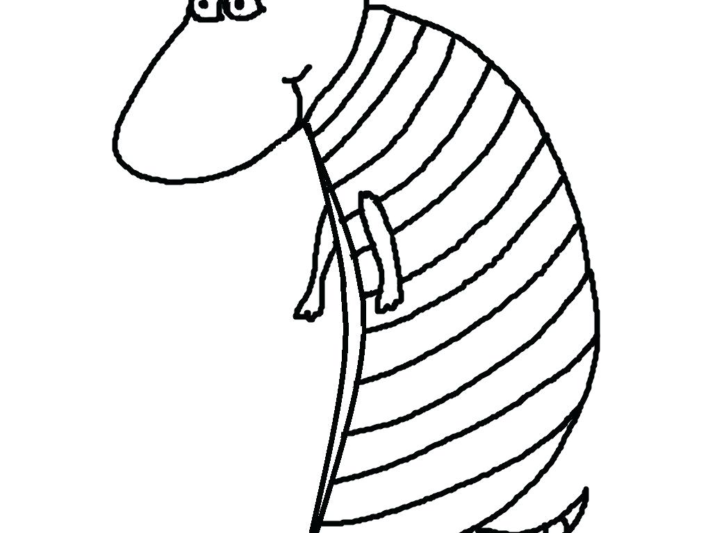 1019x768 Armadillo Coloring Page