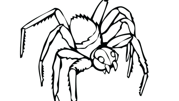Tarantula Coloring Page