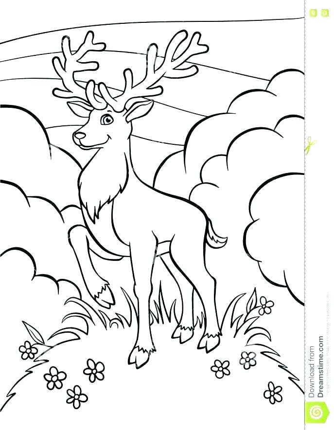 687x885 Tarantula Coloring Page Eel Coloring Pages Adult Tarantula