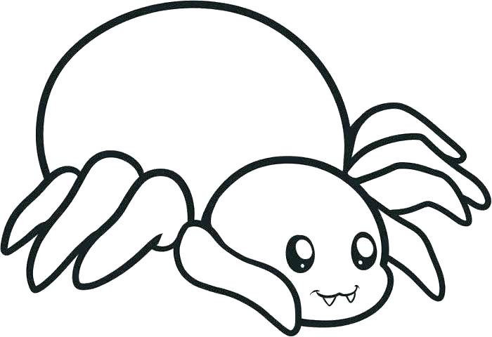 700x480 Tarantula Coloring Page Tarantula Coloring Page Cute Spider Pages