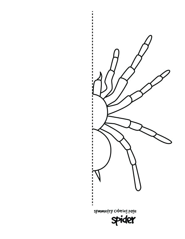 600x776 Tarantula Coloring Page Tarantula Spider Symmetry Coloring Page