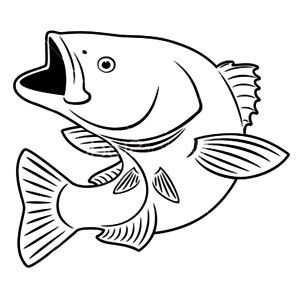 300x300 Fishing Target Bass Fish Coloring Pages Best Place To Color