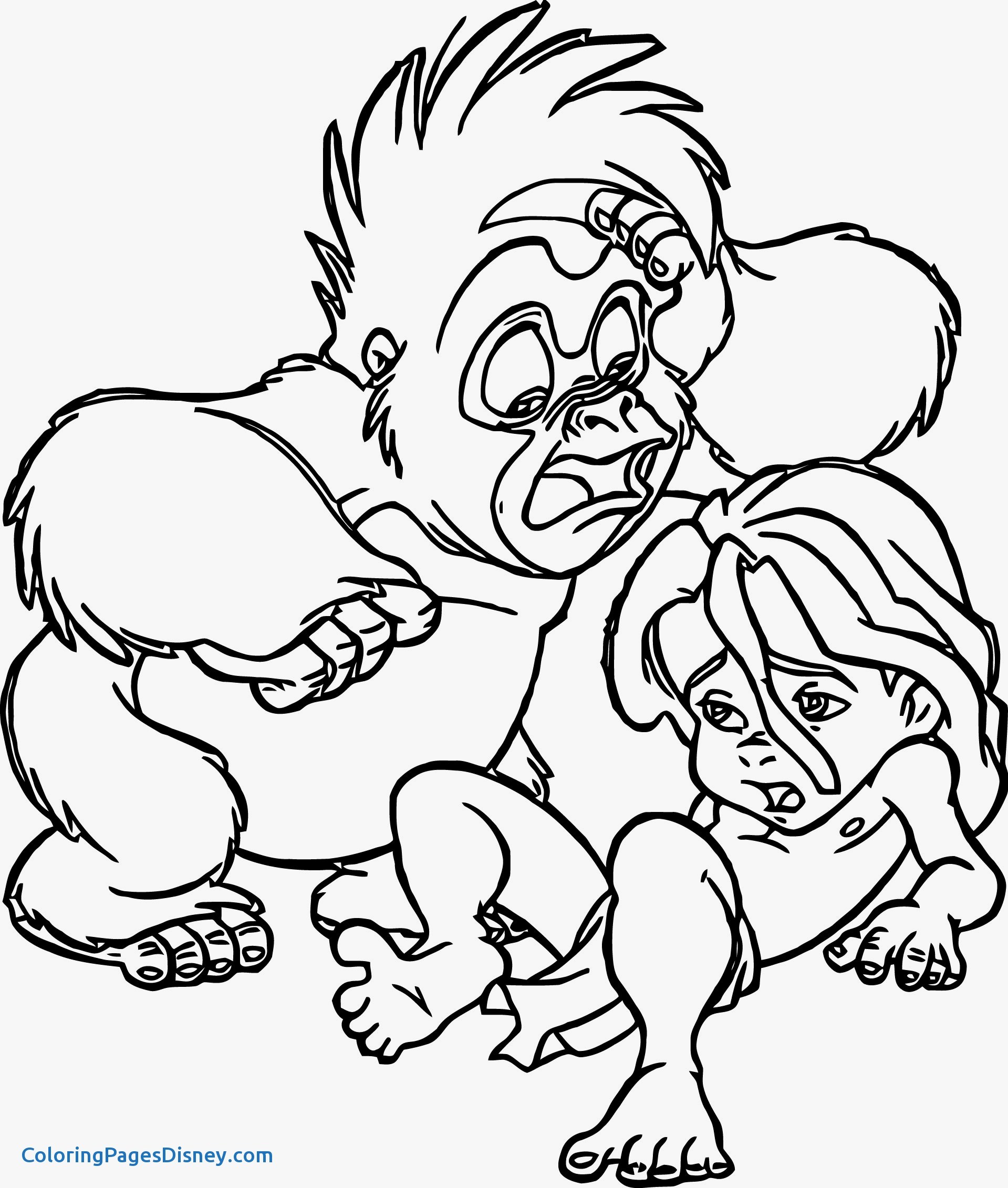 1919x2262 Elegant Tarzan Of The Apes Coloring Pages