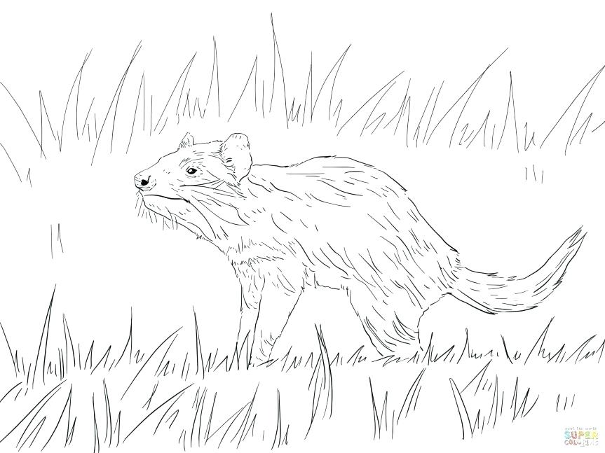 863x647 Tasmanian Devil Coloring Pages Devil Coloring Pages Tunes