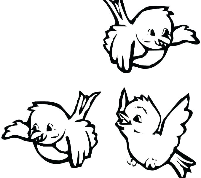 678x600 Birds Coloring Book Bird Coloring Pages Bird Colouring Book
