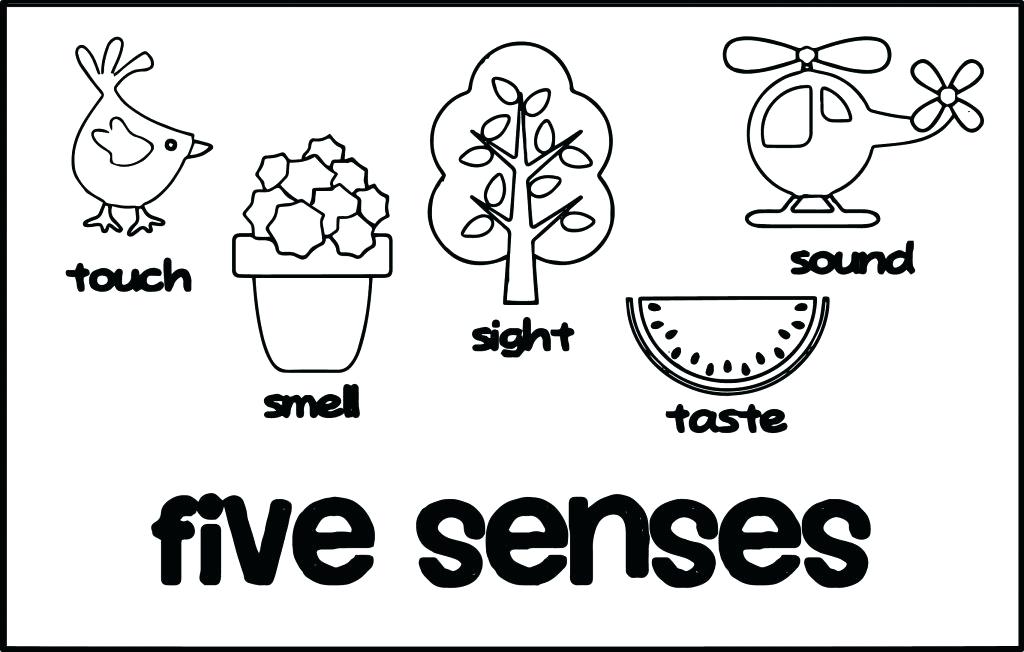 1024x652 Five Senses Coloring Pages Five Senses Coloring Page 5 Senses