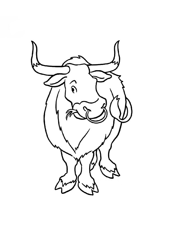 600x800 Taurus