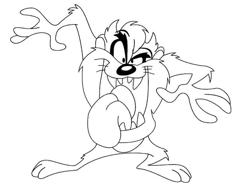 825x638 Taz
