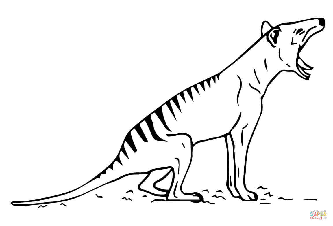 1152x784 Coloring Tasmanian Devil Coloring Pages